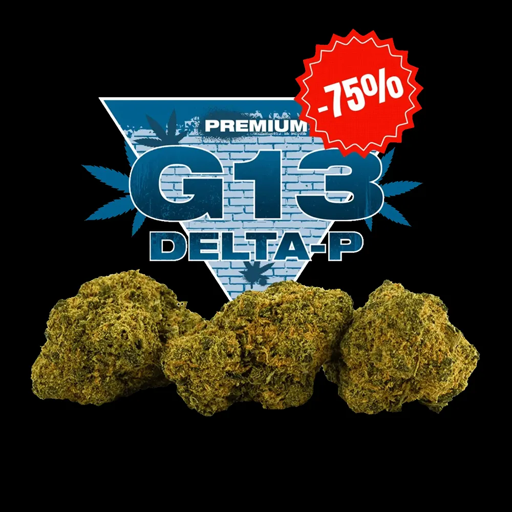 G-13 Delta-P Nouvelle Formule, Fleur CBD premium - Golden High