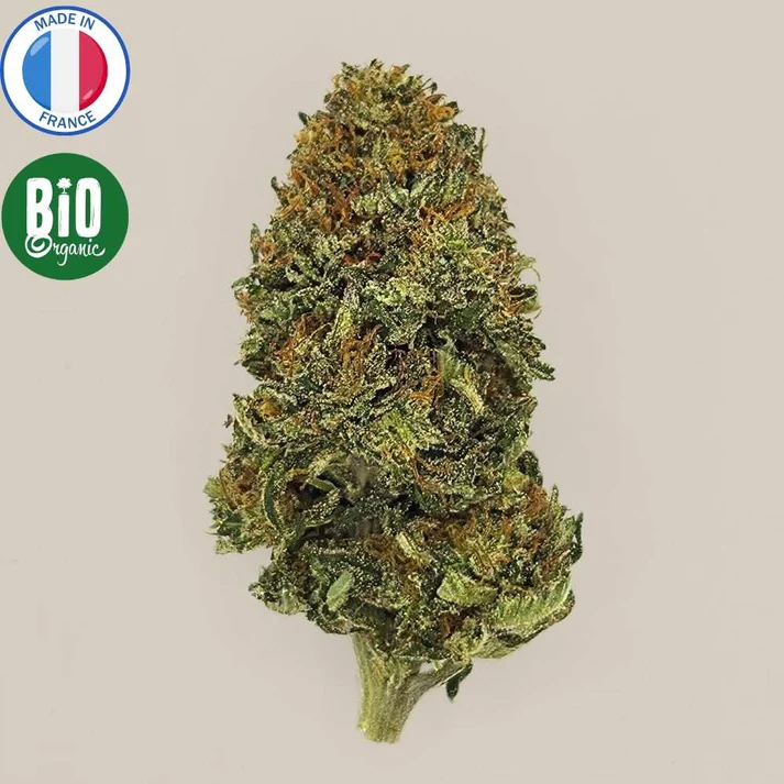 Le Comptoir du CBD Bio