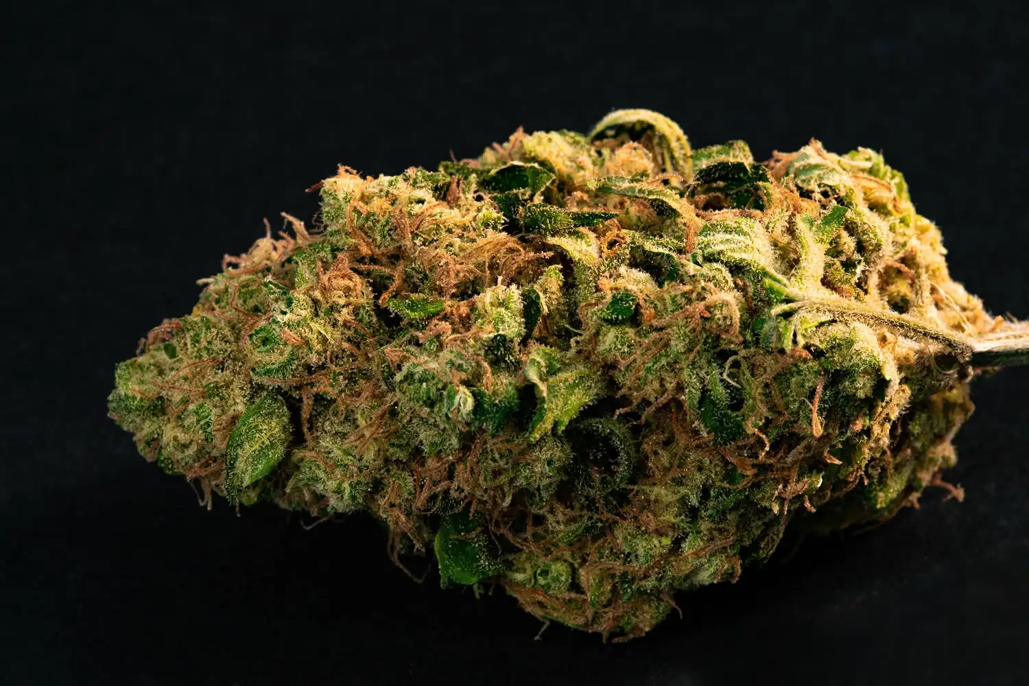 CBDX (CBD 2.0) : Vraie révolution ou arnaque Marketing de synthèse ?