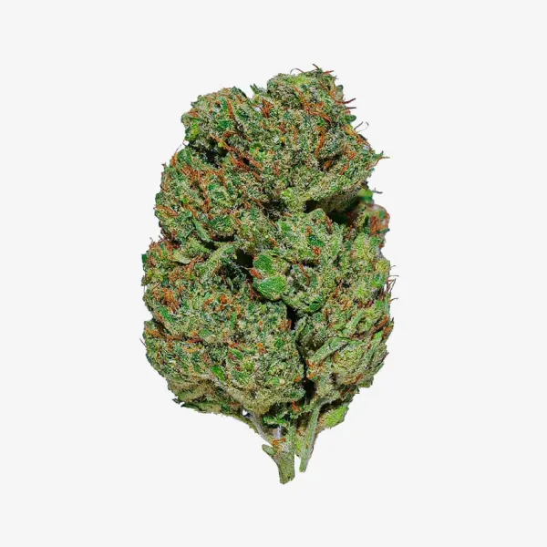 High Society est l'enseigne CBD française la plus étendue : fondée à Marseille en 2018, elle compte plus de 125 boutiques en France, en Espagne et en Allemagne, plus un e-shop. Fleurs, résines, huiles et vape à prix serrés, pour les acheteurs qui veulent du conseil en magasin ou du volume en ligne.