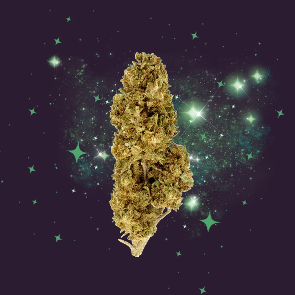Fleur du mois CBD - Magic CBD