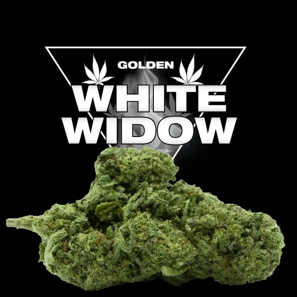 White Widow CBD - Golden CBD