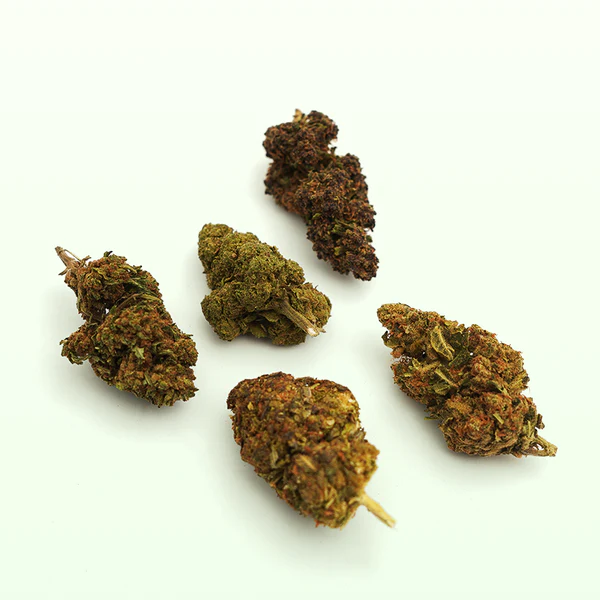 Pack Découverte Fleurs CBD - Mamakana