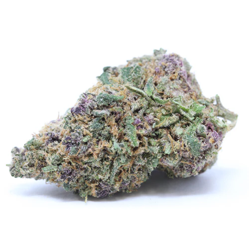 Harlequin Indoor 23 %