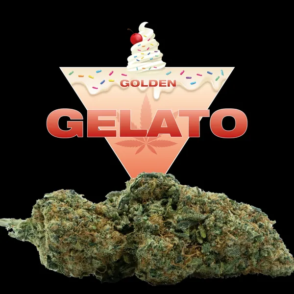 Gelato CBD - Golden CBD