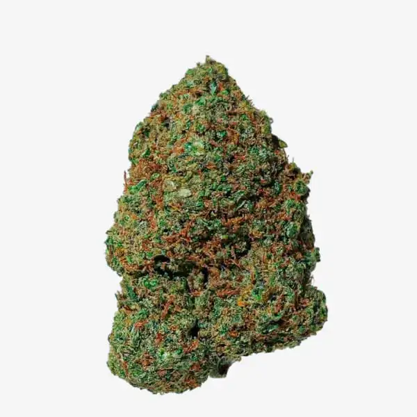 Amnesia 2.0 CBD