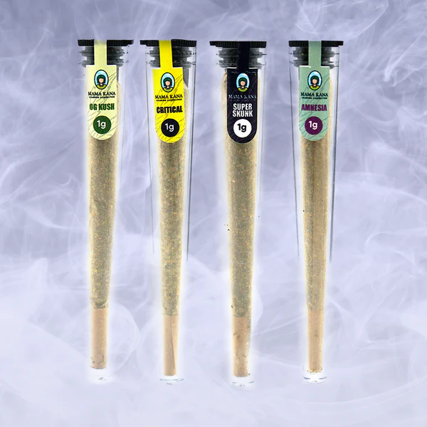 Mama Kana est un CBD shop familial français lancé en janvier 2020 et basé à Puteaux, près de Paris. Sa spécialité : des fleurs, résines et huiles full spectrum à prix serrés, avec une opération 1 acheté = 1 offert quasi permanente. Une adresse pensée pour les consommateurs réguliers qui regardent d'abord le prix au gramme.