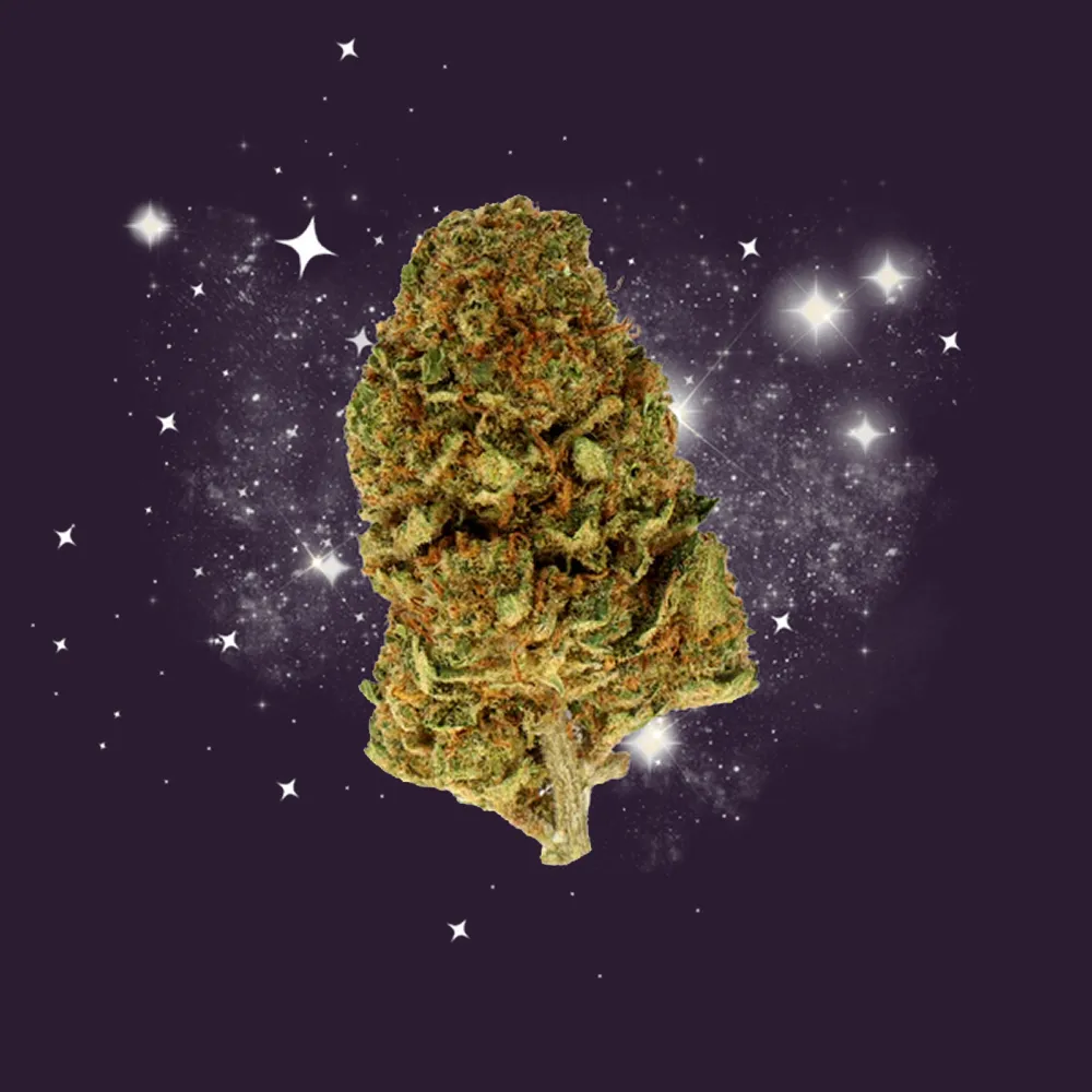 White Widow CBD Small Buds - Magic CBD
